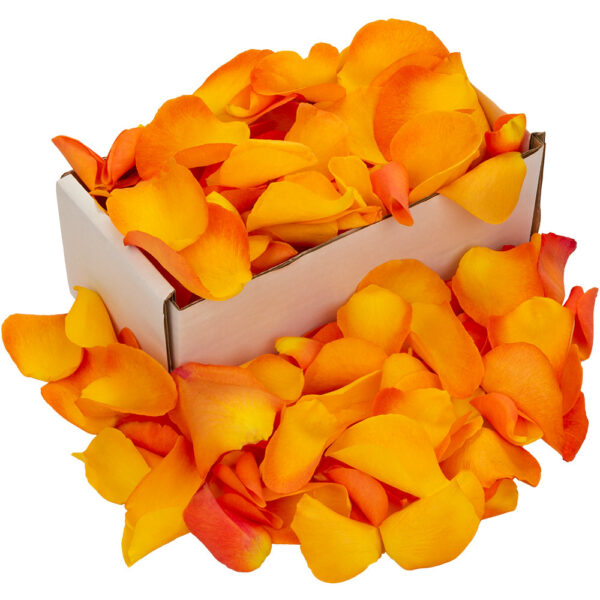 1 Box of Orange Rose Petals AprilFlorist.co.uk